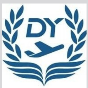 上海东燕票务代理有限公司 Logo